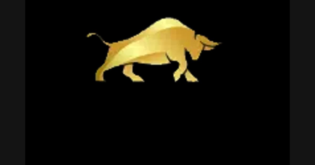 Bull Casino 24 logo