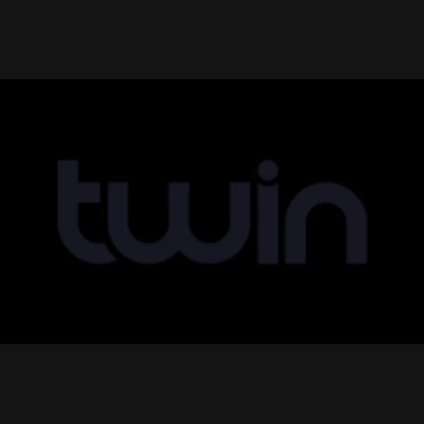 Twin logo