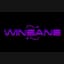 Winsane Casino Bonus