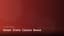 Great Slots Casino Bonus