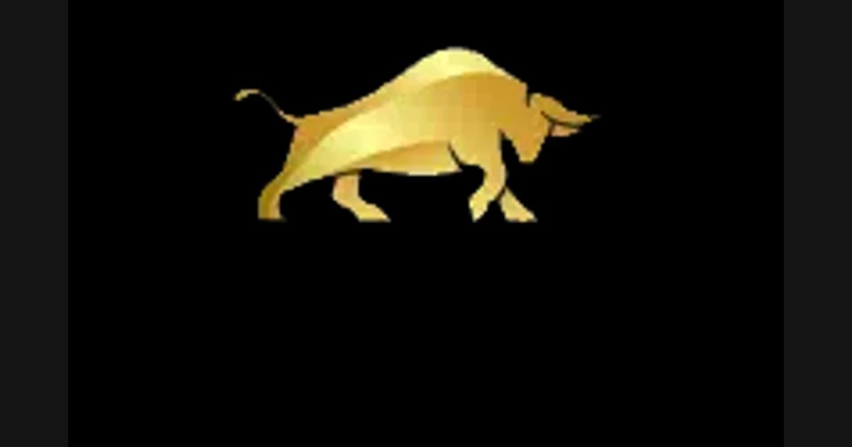 Bull Casino 24 review